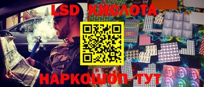гидра Берёзовский