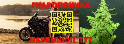 дмт Беслан