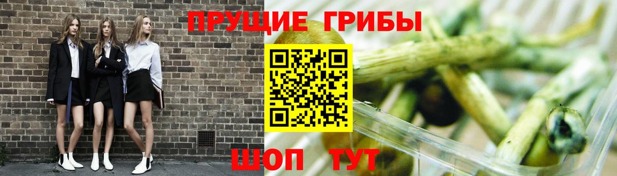 Ковров  Галлюциногенные грибы Magic Shrooms  купить наркоту  Вход с VPN 